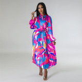 Women's Tie Long Sleeve Printed Pleated Dress