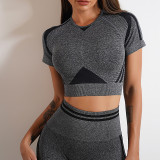 Seamless Pleated Yoga Clothing Two-Piece Set Women Outdoor Fitness High Waist Slim Fit Tight Fitting Short Sleeve Yoga Suit
