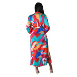 Women's Tie Long Sleeve Printed Pleated Dress