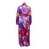 Women's Tie Long Sleeve Printed Pleated Dress