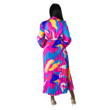 Women's Tie Long Sleeve Printed Pleated Dress