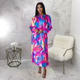 Women's Tie Long Sleeve Printed Pleated Dress