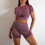 Seamless Pleated Yoga Clothing Two-Piece Set Women Outdoor Fitness High Waist Slim Fit Tight Fitting Short Sleeve Yoga Suit
