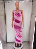 Women's Elegant Chic Print Long V-Neck Evening Dress
