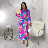 Women's Tie Long Sleeve Printed Pleated Dress