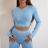 Long-Sleeved Yoga Top Slim Fitted Trousers Fitness Top Knitting Yoga Clothing