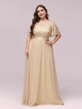 Elegant Evening Dress Sequin Plus Size Party Dress Mesh Swing Formal Party Maxi Dress