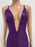 Deep V Neck Low Back Sleeveless Chic Sequined Straps Elegant Women's Party Jumpsuit