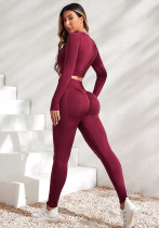 Women Seamless Long Sleeve Top + High Waist Legging Yoga Clothes Two-Piece Set Women Seamless Long Sleeve Top + High Waist Legging Yoga Clothes Two-Piece Set