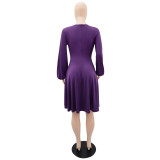 Slim Fit Chic V Neck Long Sleeves Slim Waist A-Line Midi Dress Women's Summer Dress