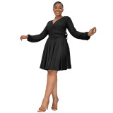 Slim Fit Chic V Neck Long Sleeves Slim Waist A-Line Midi Dress Women's Summer Dress