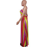 Summer Women's Slip Dress Maxi Casual Printed Dress Fashion Clothing