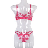 Sexy Romantic Flower Embroidery See-Through Sexy Suit For Women