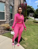 Autumn And Winter Women's Elastic Print Long-Sleeved Two-Piece Pants Set