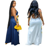 Women's Fashion Low Back Halter Neck Gown Print Maxi Dress