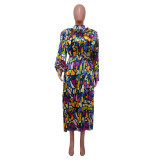 Women Autumn Printed Long Sleeve Pleated Dress