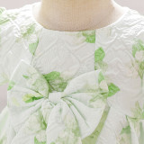 Baby girl dress children's dress short-sleeved skirt child princess girl's first birthday dress