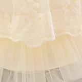 Children's dress fluffy yarn Cascading Ruffles Dress princess dress flower girl first birthday baby Dress