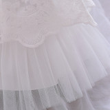 Children's dress fluffy yarn Cascading Ruffles Dress princess dress flower girl first birthday baby Dress