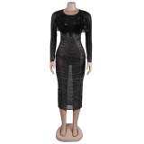 Sexy Feather Beaded See-Through Long Sleeve Patchwork Bodycon Dress