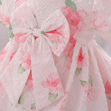 Baby girl dress children's dress short-sleeved skirt child princess girl's first birthday dress
