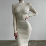 Women Turtleneck Ribbed Knitting Solid Maxi Dress