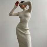 Women Turtleneck Ribbed Knitting Solid Maxi Dress