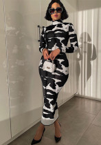 Women's Spring Autumn Fashion Print High Neck Long Sleeves Slim Fit Dress Women's Spring Autumn Fashion Print High Neck Long Sleeves Slim Fit Dress