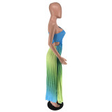 Women's Fashion Gradient Printed One Shoulder Pleated Maxi Dress