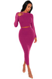 Women Long Sleeve Top and Bodycon Skirt Two Piece Set