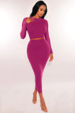 Women Long Sleeve Top and Bodycon Skirt Two Piece Set
