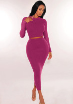 Women Long Sleeve Top and Bodycon Skirt Two Piece Set