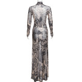 Women's Fall Fashion Style Mesh Print See-Through Turtleneck Slim Fit Dress