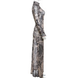 Women's Fall Fashion Style Mesh Print See-Through Turtleneck Slim Fit Dress
