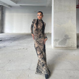 Women's Fall Fashion Style Mesh Print See-Through Turtleneck Slim Fit Dress