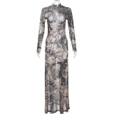 Women's Fall Fashion Style Mesh Print See-Through Turtleneck Slim Fit Dress