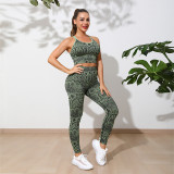 Women Snake Print Sports Yoga Two Piece Set