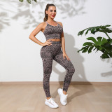 Women Snake Print Sports Yoga Two Piece Set