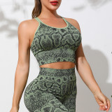 Women Snake Print Sports Yoga Two Piece Set