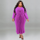 Plus Size Autumn Women's Zipper Round Neck Long Sleeve Pleated Dress