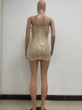 Women's Deep V Sleeveless Sequined Bodycon Dress