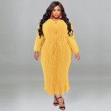 Plus Size Autumn Women's Zipper Round Neck Long Sleeve Pleated Dress