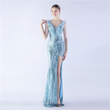 Elegant Feather And Beaded Long Sequined Evening Dress