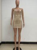 Women's Deep V Sleeveless Sequined Bodycon Dress