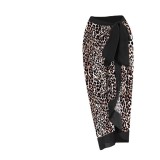 Leopard Print Sexy Deep V Neck One-Piece Swimsuit Mesh Skirt For Women