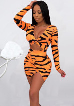 Fashion Women's Long Sleeve Leopard Print Tight Fitting Sexy Hollow Slit Bodycon Dress Fashion Women's Long Sleeve Leopard Print Tight Fitting Sexy Hollow Slit Bodycon Dress