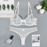 Women's Mesh See-Through Straps Two-Piece Sexy Lingerie Set