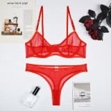 Women's Mesh See-Through Straps Two-Piece Sexy Lingerie Set