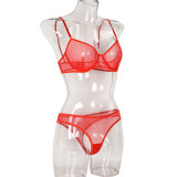 Women's Mesh See-Through Straps Two-Piece Sexy Lingerie Set