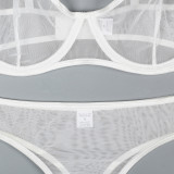 Women's Mesh See-Through Straps Two-Piece Sexy Lingerie Set